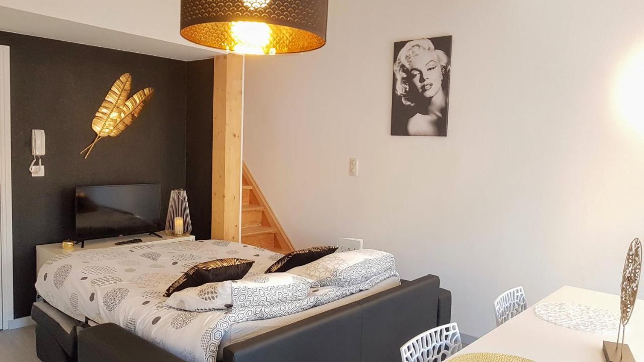 Les Nuits D'Anis - Appartements Hypercentre Le Puy-en-Velay Exteriér fotografie