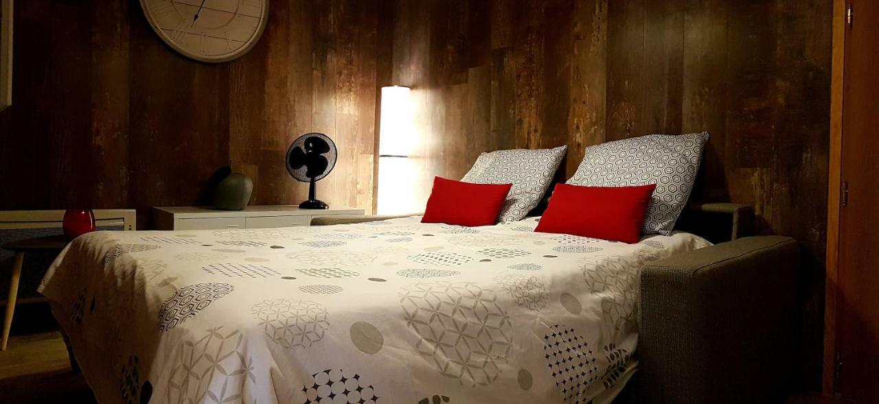 Les Nuits D'Anis - Appartements Hypercentre Le Puy-en-Velay Exteriér fotografie